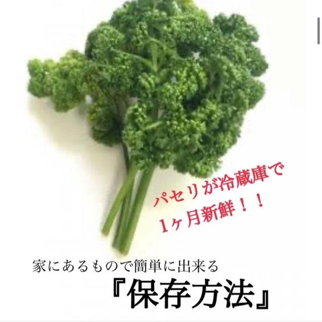 パセリを冷蔵庫で１か月、新鮮な状態で保存する方法