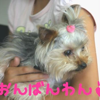 ももの病院☆診察結果☆ばんごはんいろいろ。