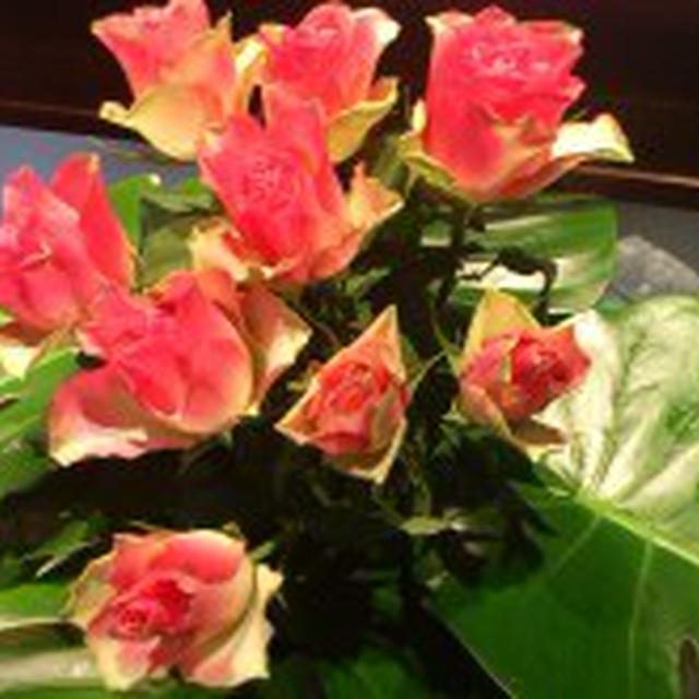 4/1 女磨きの１日♡