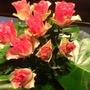 4/1 女磨きの１日♡