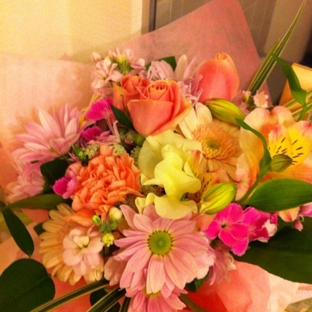 Mｙ　Bｉｒｔｈｄａｙ　☆