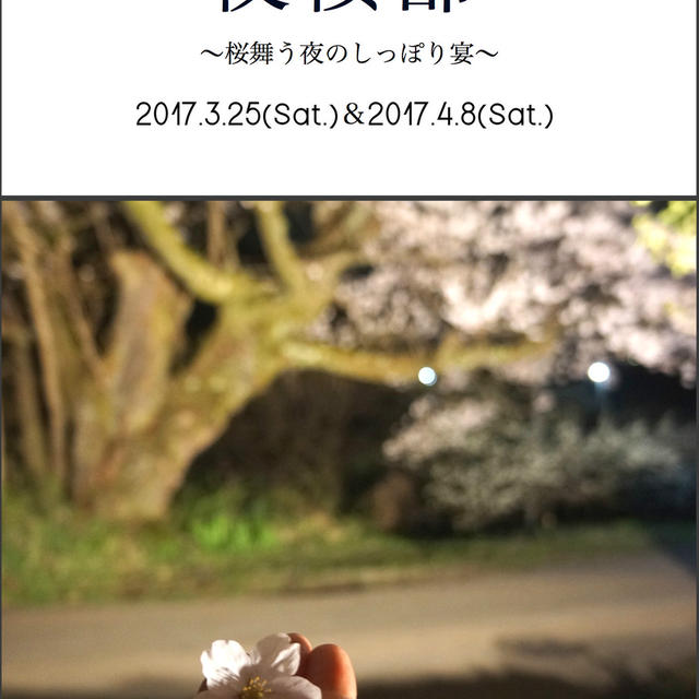 夜桜部☆★☆＜最終告知＞