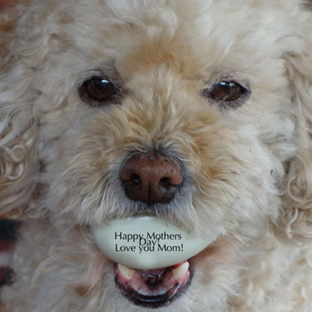 Mother's  day