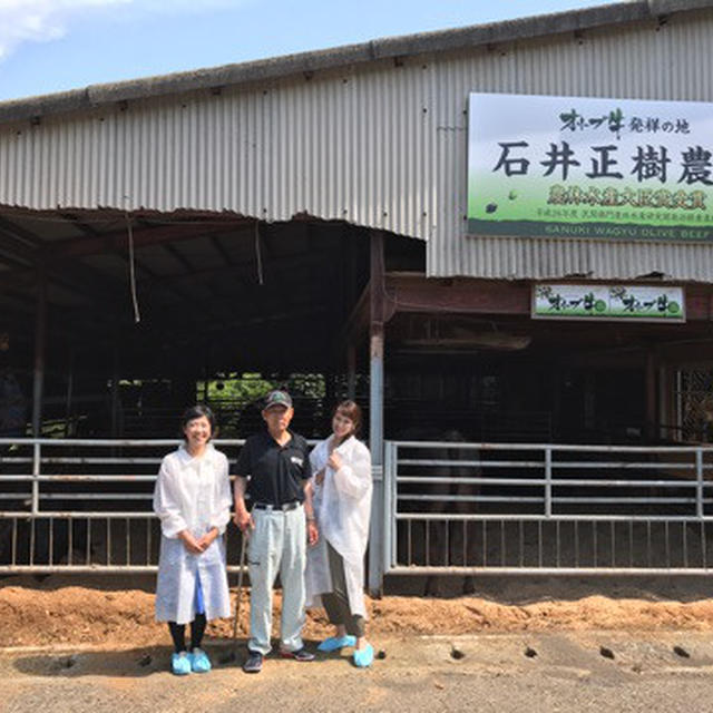 香川へ食材探求②小豆島 ／ オリーブ牛の発祥「 石井正樹農場」と「オリーブ農園 イズライフ」