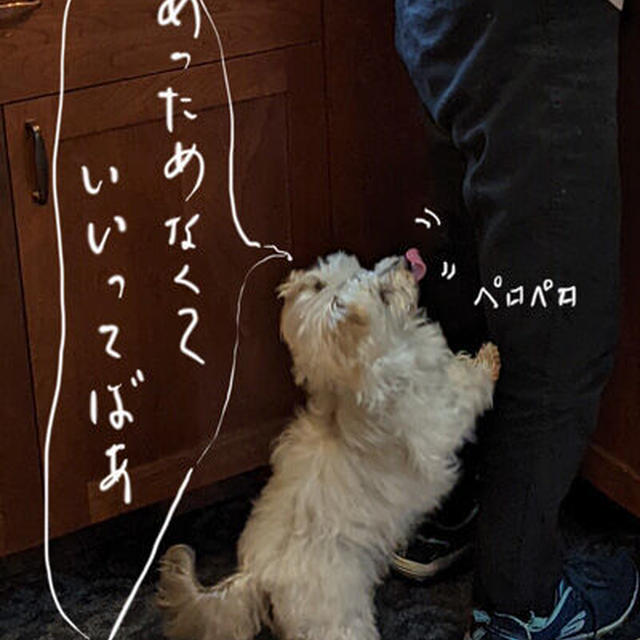 4時間話して気持ちがすっきり！