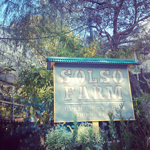 solso farmへ。
