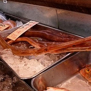 珍魚発見 赤ヤガラ By Canchaさん レシピブログ 料理ブログのレシピ満載