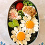 デイジー弁当