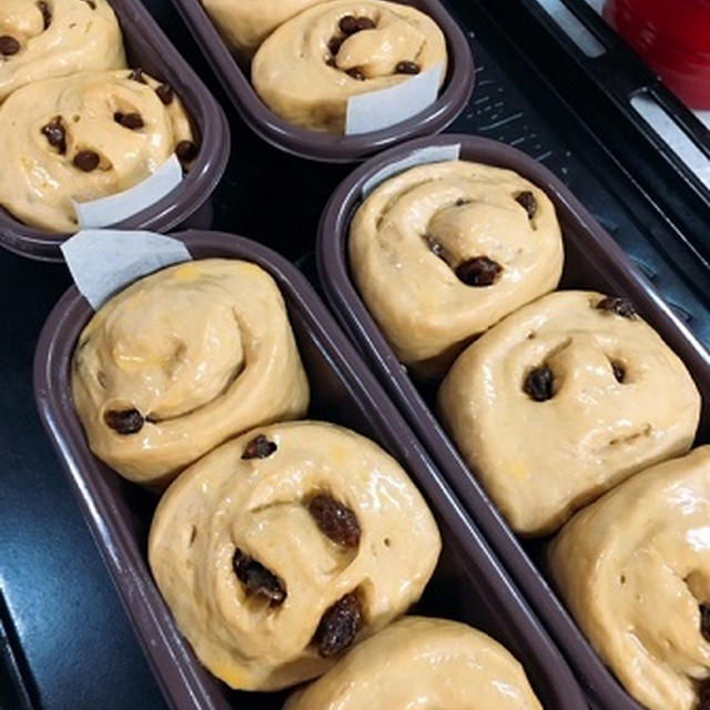 チョコとレーズンのコーヒーロール♪