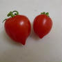 ハート型のミニトマト　初収穫！