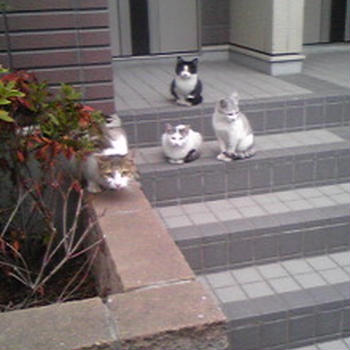 うちの前