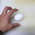 【保存版】「生卵」と「ゆで卵」を見分ける４つの方法