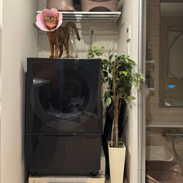 新しい洗濯機が来た