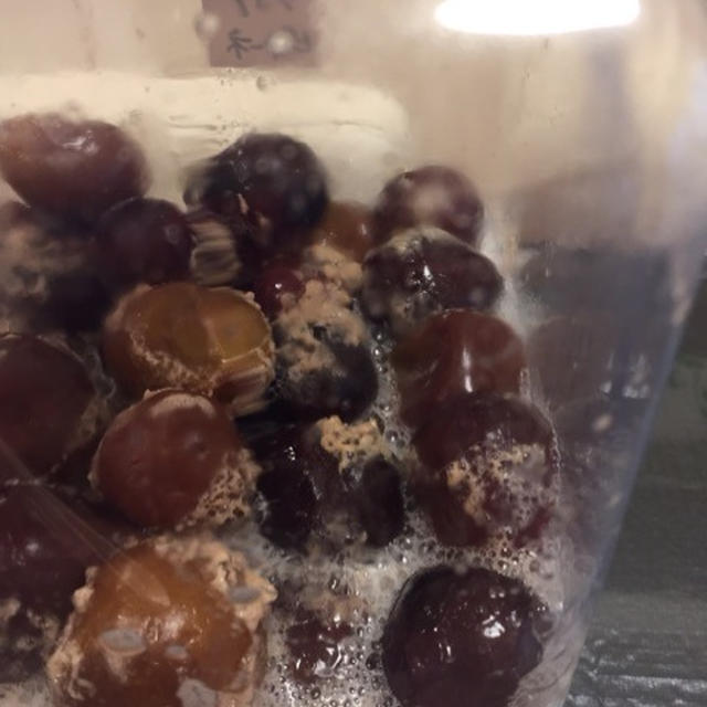 うちに入院して貰いました
