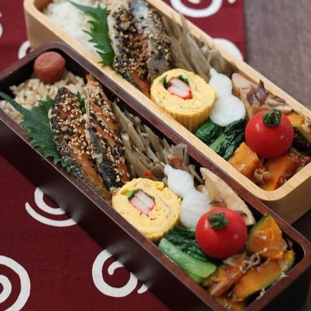 連休明けの鮭弁 ✿ 流行りにのってみた(๑¯﹃¯๑)♪