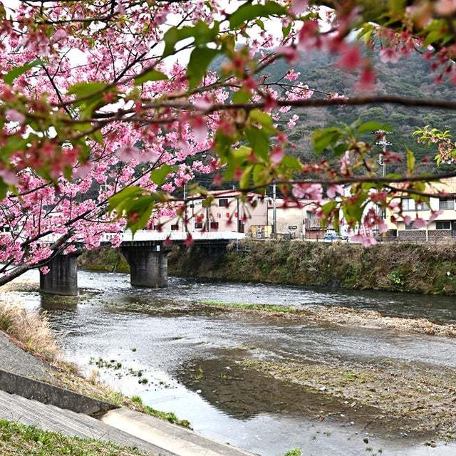 伊豆長岡・修善寺夫婦旅３ 〜2024年2月・旅の備忘録〜
