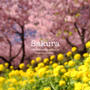 私の桜 2020
