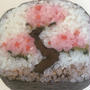 ★参加者募集！上野の桜を見ながら桜づくし巻き寿司教室