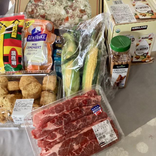コストコも行ってみた、コストコ守山倉庫店