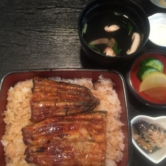 【世田谷区野沢】うな誠　国産うなぎのうな重　ランチうな重は肝吸い付きで１５００円　