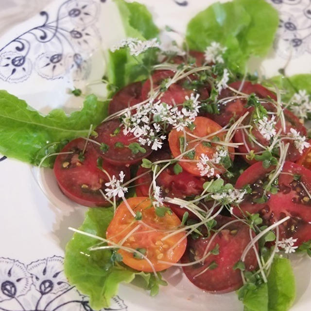 トマトとパクチーの花のサラダ／パクチー入り牛筋煮
