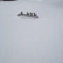 雪解け