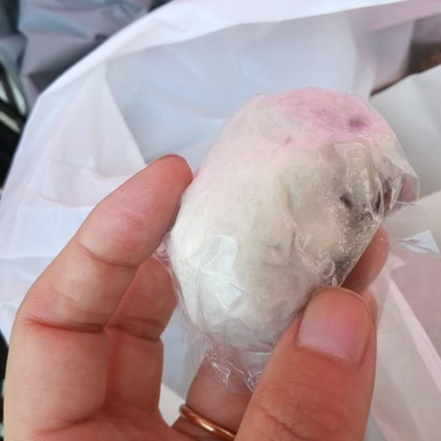 今日のあんこ#44 しっとりこしあんが美味しい、七福堂のうすかわまんじゅう【和歌山県】