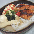 シーズン初のおでんと塩麹鮭の弁当。おでんに何いれる？仲良きにゃんこ。