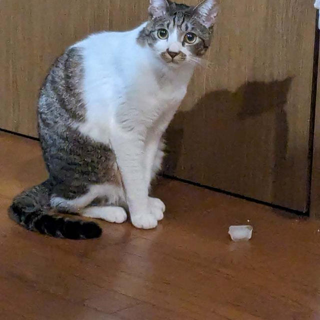 山は越えました
