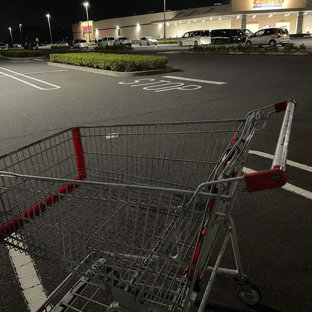 コストコ　閉店１時間前に入ったー！
