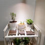 IKEA☆植物栽培用LEDライト