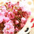 桜の花の塩漬け　（１）