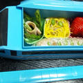 幼稚園児のお弁当　4月　＆パパ弁　筍ご飯　（キッチン　ラボ）