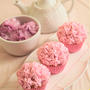 * 春爛漫・お花見 ♡ 桜カップケーキ♪レシピ