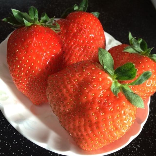 イチゴの贈り物
