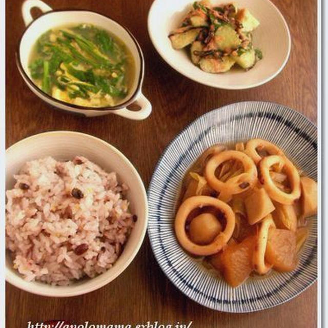 烏賊と里芋と大根でほっこり煮