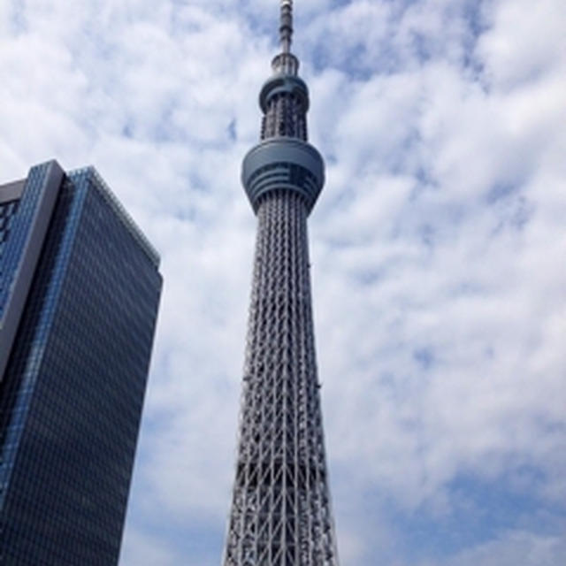 スカイツリーと神保町