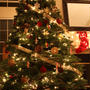 クリスマスツリー