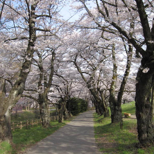 アルプス公園②