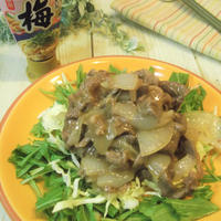 なくなる前にレシピを（笑）牛肉と新玉ねぎのとろみ梅炒め