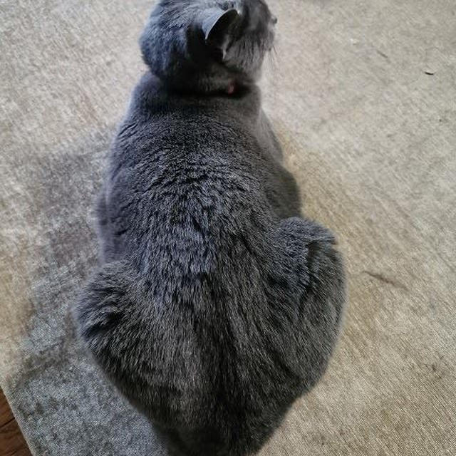 やっぱり少し痩せたね…