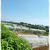 三芳町野菜畑劇場、発見。