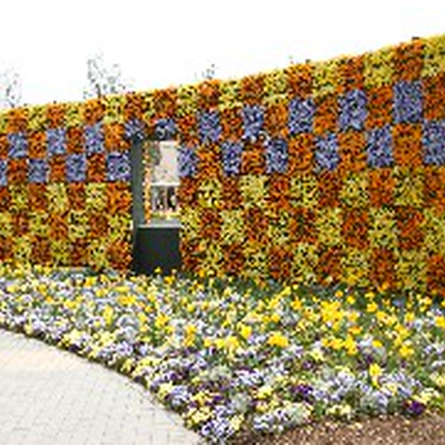 岡山緑化フェア 花フェスタ