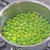 シワなくふっくら！鮮やかに仕上げるえんどう豆の茹で方