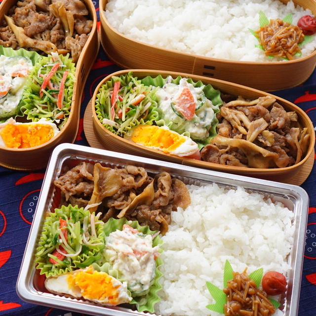 (最近)ネギ塩(が好き過ぎる)ナムル(豆苗)弁当＆肉豆腐な晩ゴハン