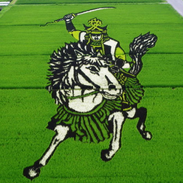 田んぼアート