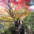 京都の山のお寺で紅葉狩り＊