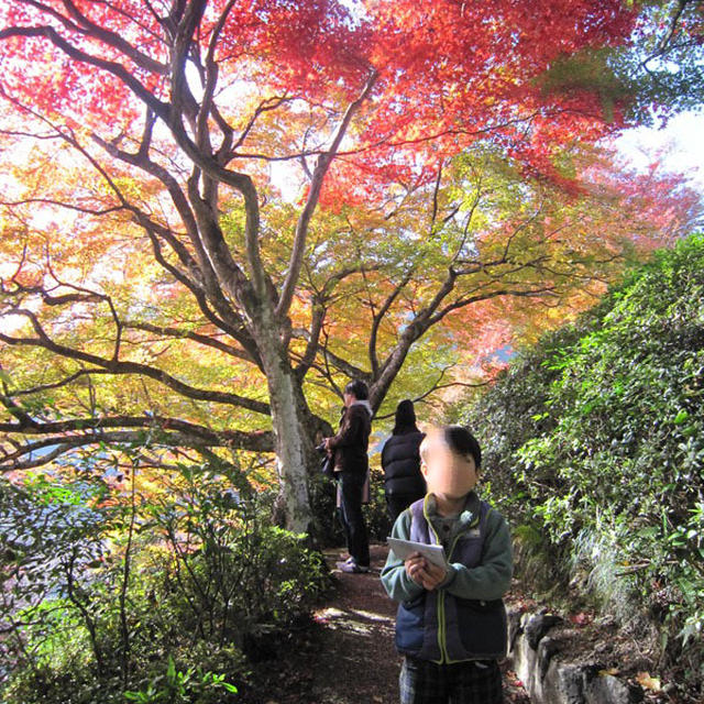 京都の山のお寺で紅葉狩り＊