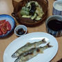 夏ご飯