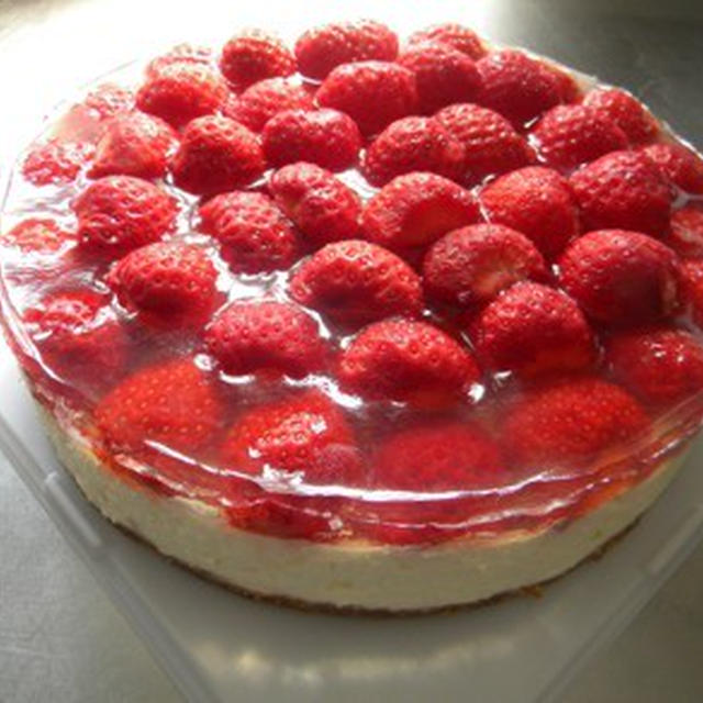 春のイチゴいっぱいレアチーズケーキ